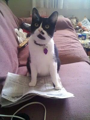 Name:  l_980e87547b9748f3864b5779e2021a77_.jpg
Views: 36
Size:  20.9 KB