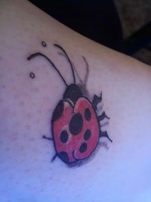 Name:  l_f43fa78c4deb4cf3be0c7d9d52d10a75.jpg
Views: 33
Size:  9.8 KB