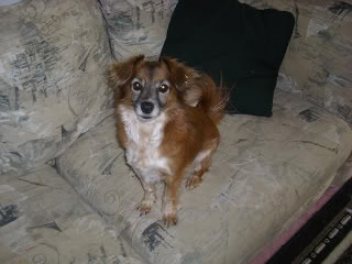 Name:  witness1.jpg
Views: 41
Size:  16.9 KB