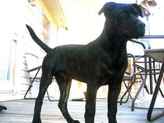 Name:  vegasphotos004_edit.jpg
Views: 34
Size:  18.8 KB