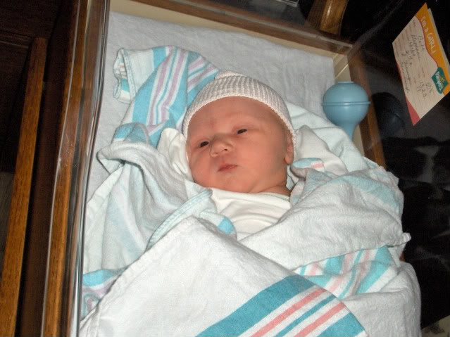 Name:  baby016.jpg
Views: 41
Size:  59.2 KB