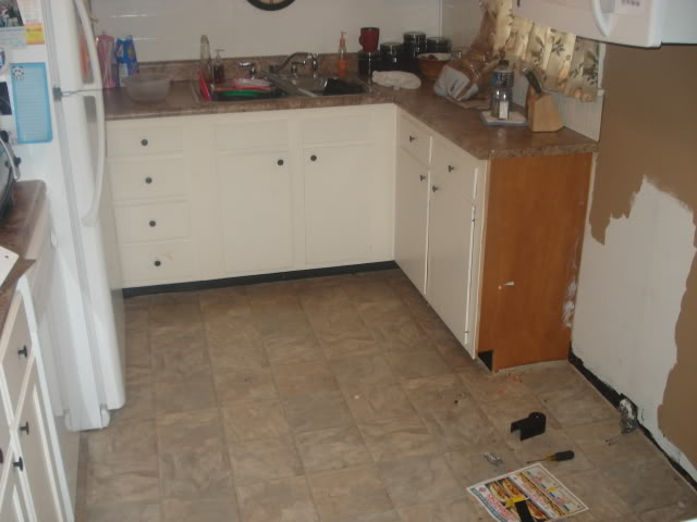 Name:  DSC06127.jpg
Views: 25
Size:  38.5 KB