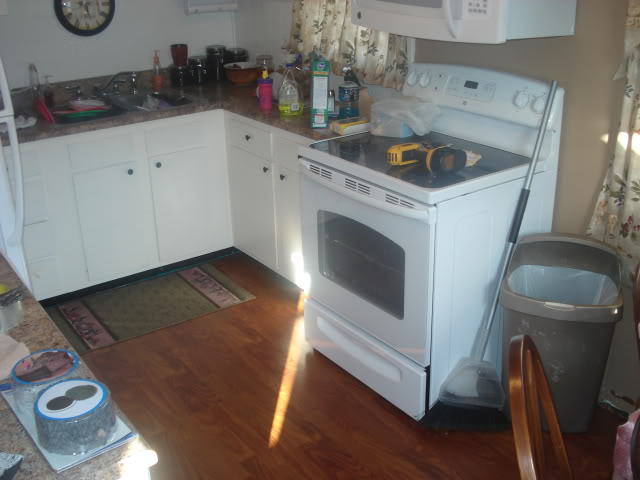 Name:  DSC06132.jpg
Views: 26
Size:  45.4 KB