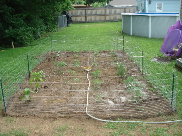 Name:  DSC07100.jpg
Views: 29
Size:  125.7 KB