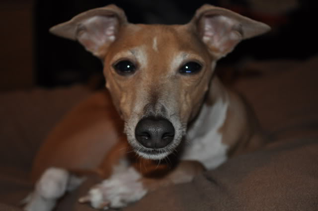 Name:  DSC_0006.jpg
Views: 96
Size:  30.9 KB