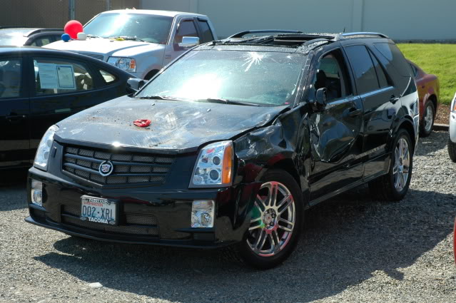 Name:  DSC_0946.jpg
Views: 112
Size:  102.8 KB