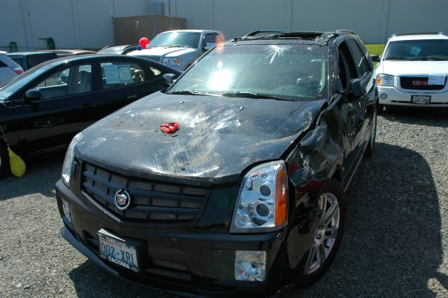 Name:  DSC_0950.jpg
Views: 146
Size:  96.8 KB