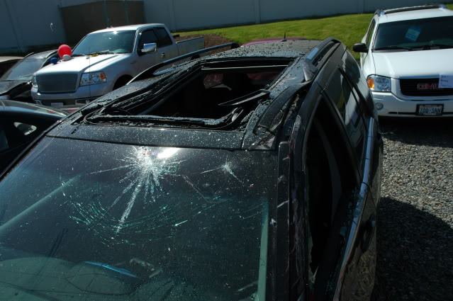 Name:  DSC_0951.jpg
Views: 225
Size:  90.2 KB