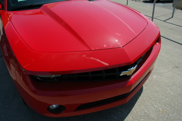 Name:  DSC_0983.jpg
Views: 85
Size:  67.0 KB