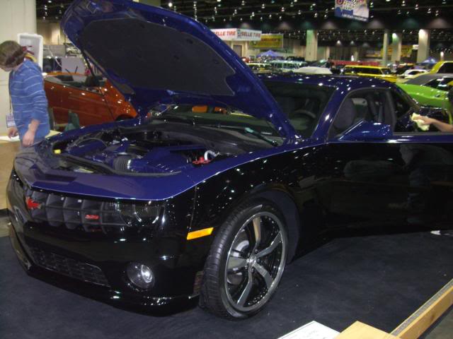 Name:  CIMG3783.jpg
Views: 46
Size:  76.2 KB