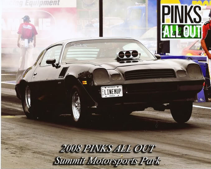 Name:  Pinks1.jpg
Views: 41
Size:  86.1 KB