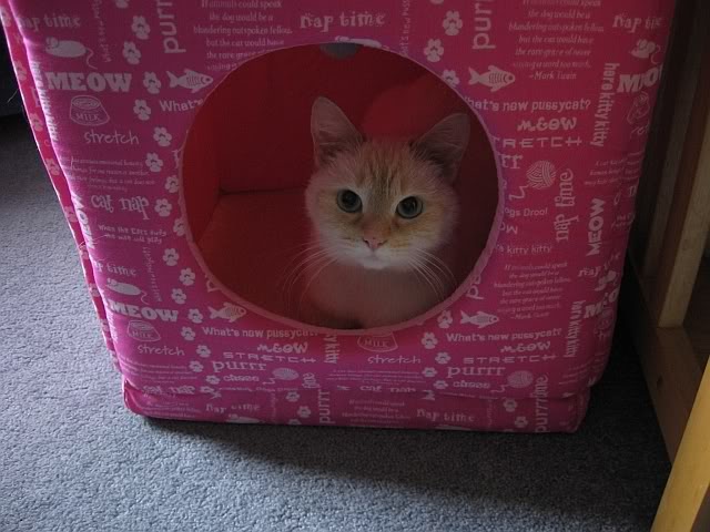 Name:  littles.jpg
Views: 34
Size:  59.8 KB