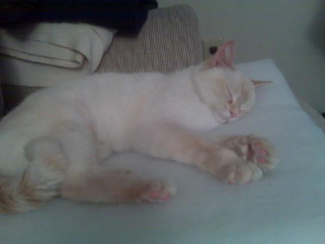 Name:  _MediaCard_BlackBerry_pictures_IMG0.jpg
Views: 29
Size:  22.6 KB