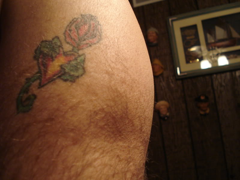 Name:  DSC01511.jpg
Views: 28
Size:  52.9 KB