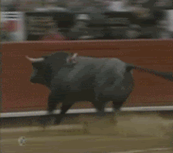 Name:  9d44d647b8bd2148f969346cf899db8a.gif
Views: 32
Size:  612.0 KB