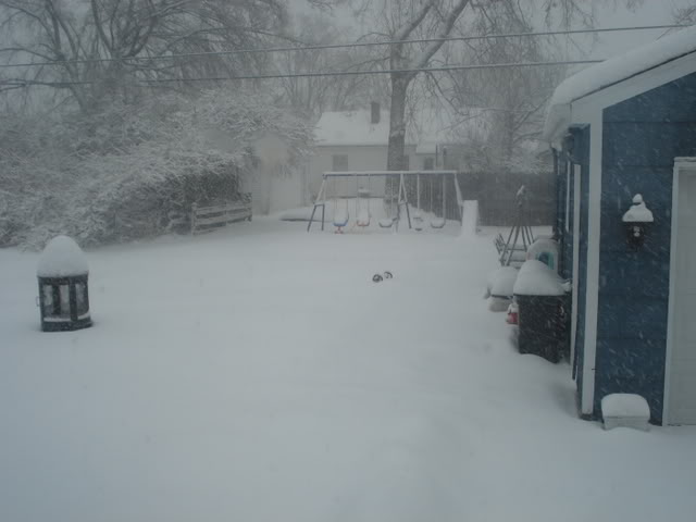 Name:  DSC06482.jpg
Views: 25
Size:  34.1 KB