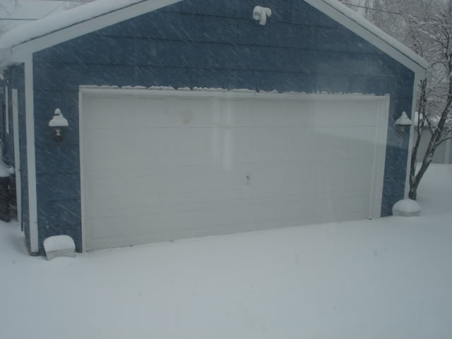 Name:  DSC06483.jpg
Views: 30
Size:  27.7 KB