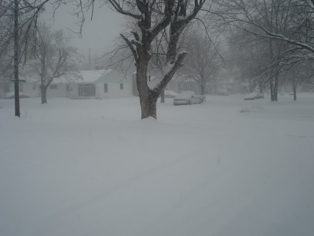 Name:  DSC06484.jpg
Views: 27
Size:  34.4 KB