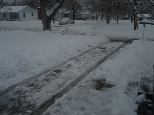 Name:  DSC06488.jpg
Views: 30
Size:  43.1 KB