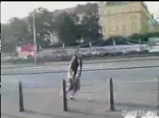 Name:  2wrkodg.gif
Views: 25
Size:  1.53 MB