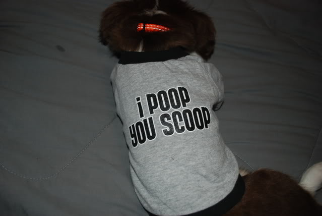 Name:  DSC_0036-1.jpg
Views: 18
Size:  52.3 KB