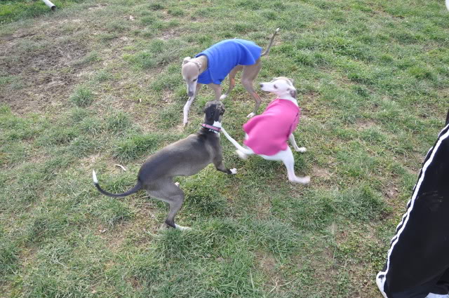 Name:  DSC_0405.jpg
Views: 40
Size:  112.8 KB