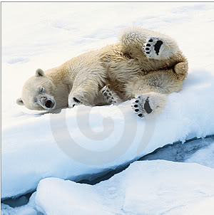 Name:  10926047504H0UPN.jpg
Views: 20
Size:  18.7 KB