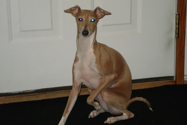 Name:  Coty001.jpg
Views: 46
Size:  24.4 KB