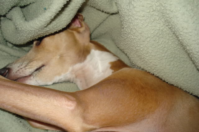 Name:  Coty003.jpg
Views: 42
Size:  44.6 KB