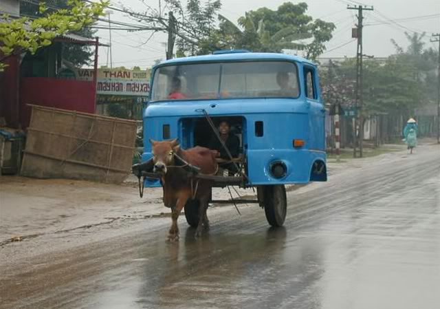 Name:  donkey.jpg
Views: 34
Size:  54.6 KB