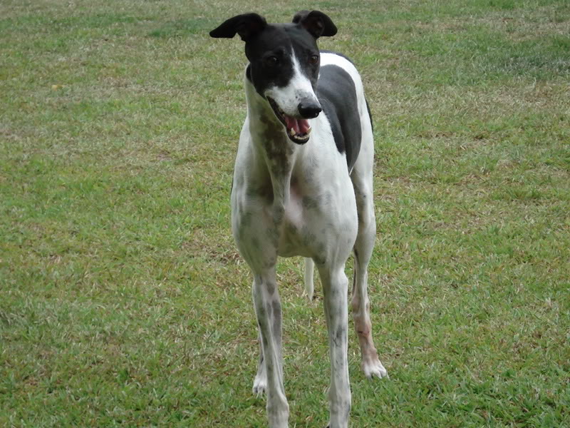 Name:  MayJune2006114.jpg
Views: 31
Size:  137.6 KB