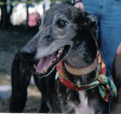 Name:  raceyheadshot2.jpg
Views: 33
Size:  36.5 KB