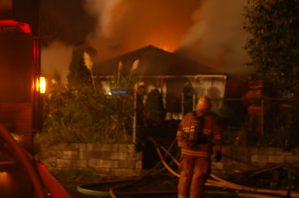 Name:  bbffff5a.jpg
Views: 19
Size:  78.9 KB