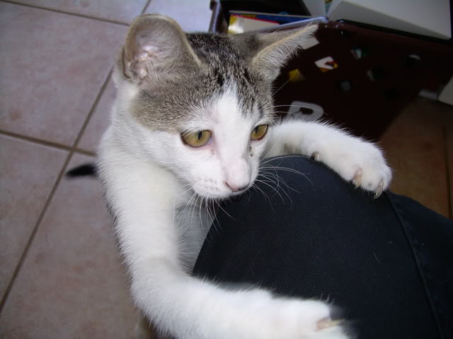 Name:  DSCN1726.jpg
Views: 30
Size:  77.2 KB