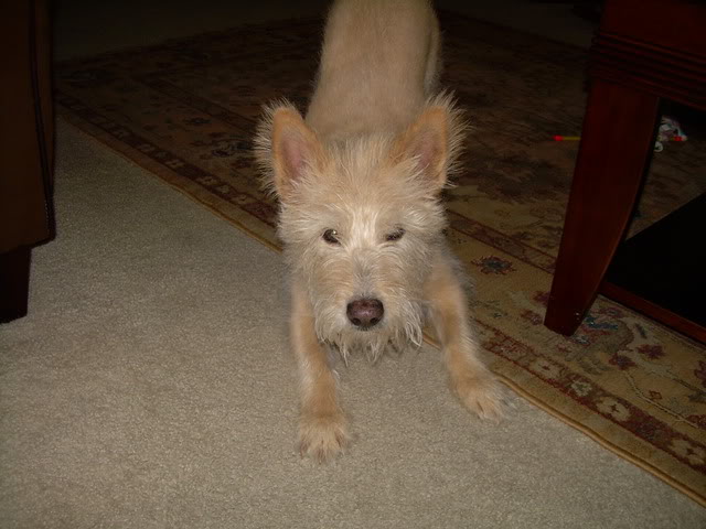 Name:  DSCN1729.jpg
Views: 32
Size:  84.2 KB