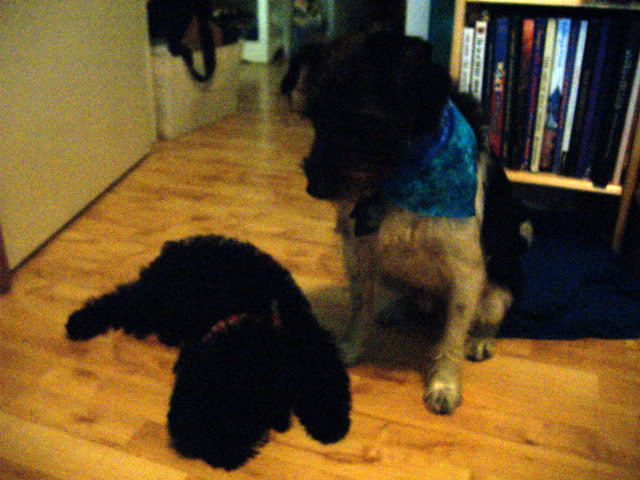 Name:  DSCF1724.jpg
Views: 25
Size:  65.2 KB