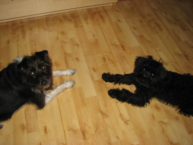 Name:  IMG_1872.jpg
Views: 27
Size:  29.7 KB