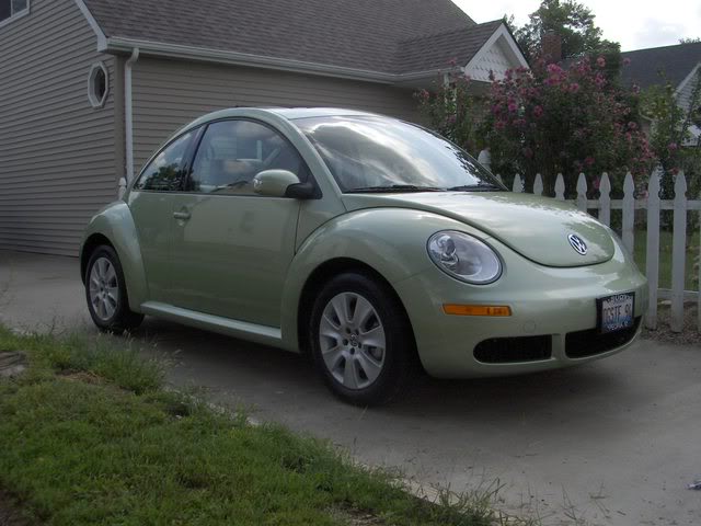 Name:  Molly001.jpg
Views: 19
Size:  51.1 KB