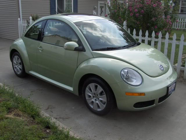 Name:  Molly002.jpg
Views: 21
Size:  51.2 KB