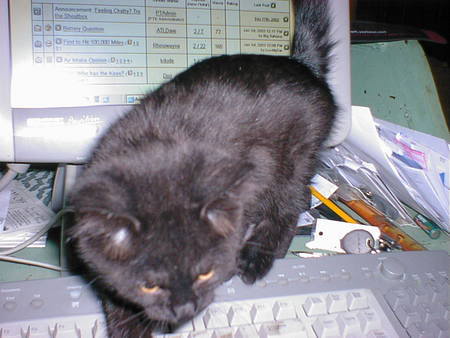 Name:  imagew2.jpg
Views: 43
Size:  27.1 KB