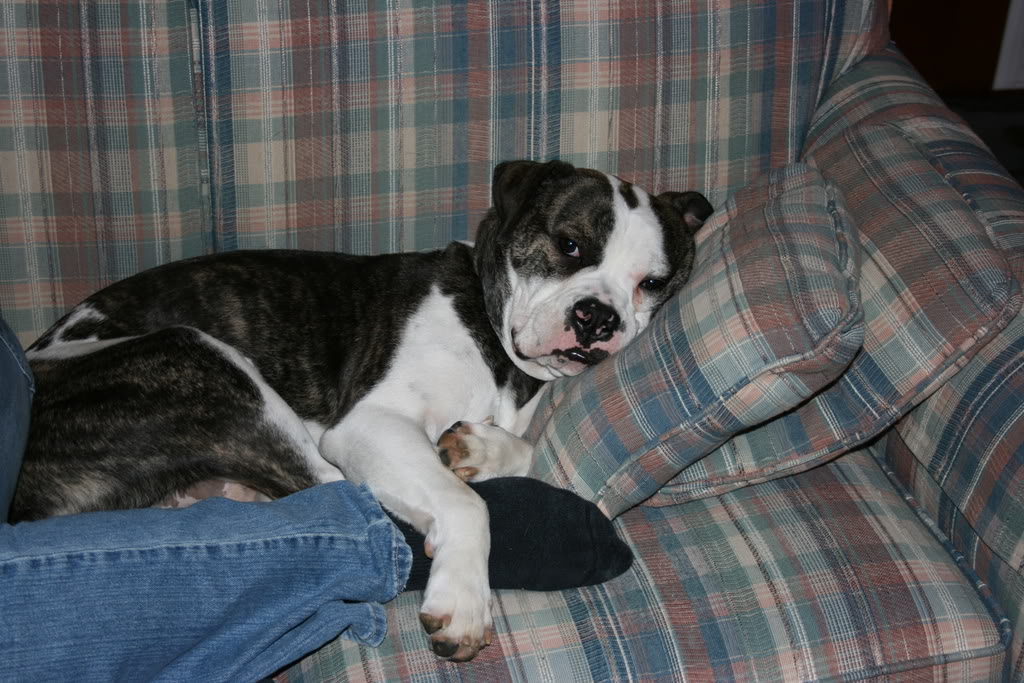 Name:  IMG_2848.jpg
Views: 61
Size:  153.5 KB