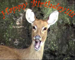 Name:  happy-birthday.jpg
Views: 74
Size:  12.9 KB