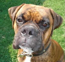 Name:  708040-1.jpg
Views: 29
Size:  18.1 KB