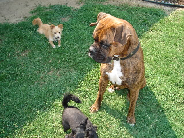 Name:  708042.jpg
Views: 28
Size:  123.5 KB