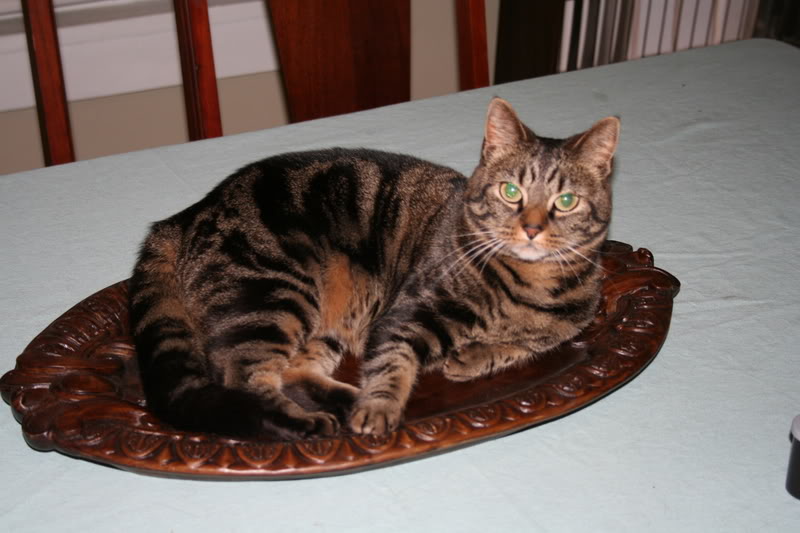 Name:  Picture072.jpg
Views: 74
Size:  69.2 KB