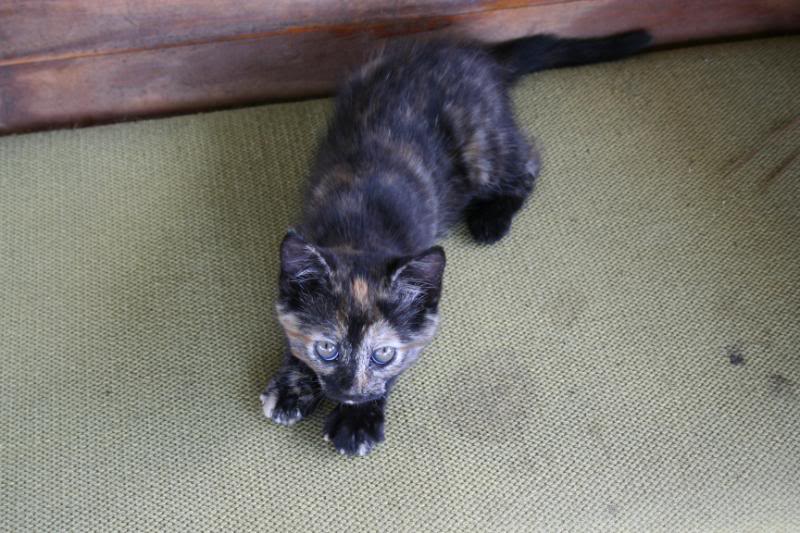 Name:  IMG_7643.jpg
Views: 49
Size:  85.9 KB