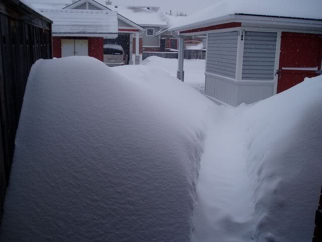 Name:  P3050121.jpg
Views: 58
Size:  37.5 KB