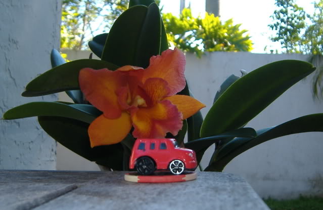 Name:  DSCF1564.jpg
Views: 85
Size:  43.9 KB