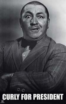 Name:  Curlyforpres.jpg
Views: 27
Size:  12.4 KB