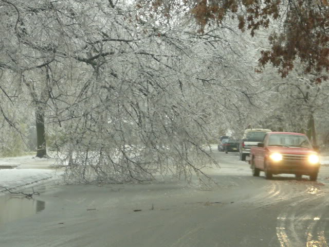 Name: P1000852.jpg
Views: 56
Size: 85.8 KB